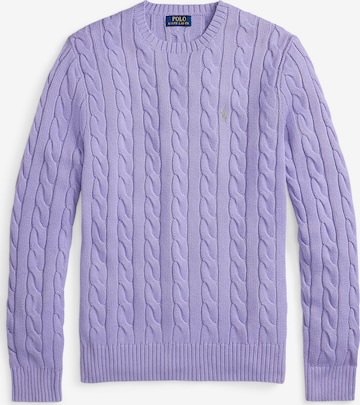 purpurinė Polo Ralph Lauren Standartinis modelis Megztinis 'Driver': priekis