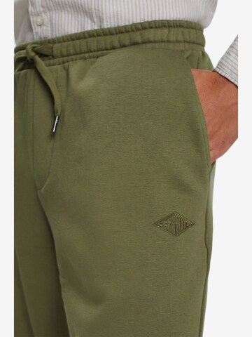 ESPRIT Tapered Pants in Green
