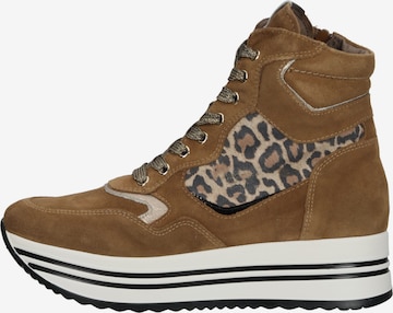 Nero Giardini High-Top Sneakers in Brown: front