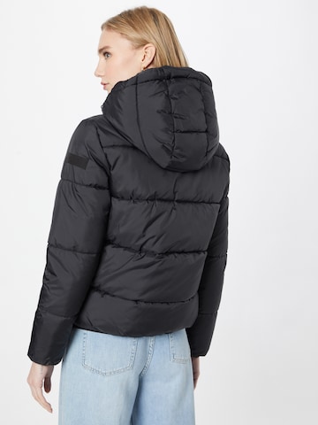 TOM TAILOR DENIM Winter Jacket in Black