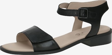 CAPRICE Sandals in Black: front