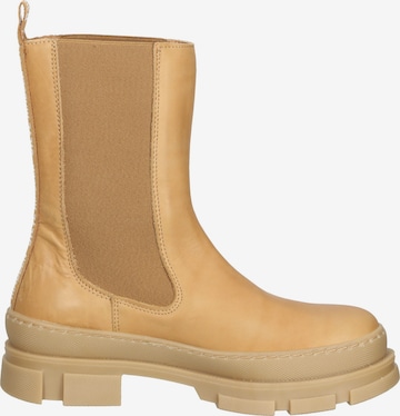 Chelsea Boots STEVE MADDEN en beige