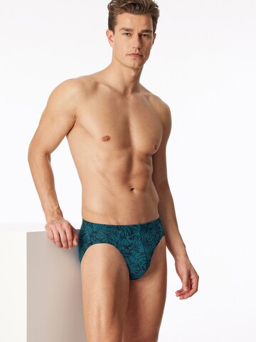 SCHIESSER Panty ' 95/5 Organic ' in Blue