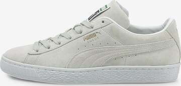 Baskets basses 'Classic XXI' PUMA en gris : devant