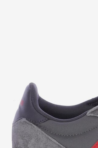 ADIDAS PERFORMANCE Sneaker 40 in Grau