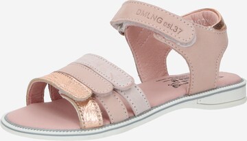 Däumling Sandals 'Vicki' in Pink: front