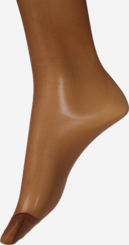 Lindex - Collants finos em castanho