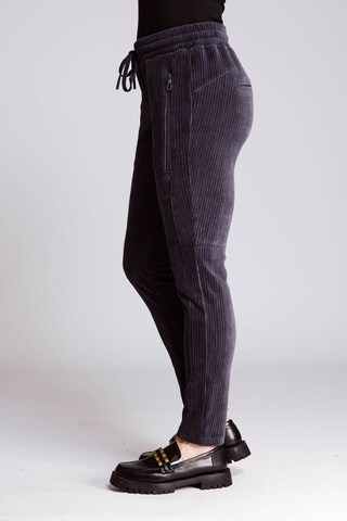 Zhrill Regular Hose in Grau