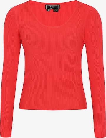 faina Sweater 'Fashion Look' in Red: front