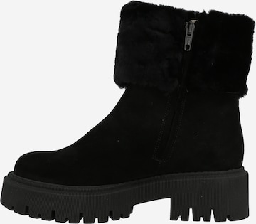 ANGULUS Boots in Black