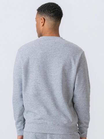 TEESHOPPEN Pullover ' Essential Crewneck ' i grå