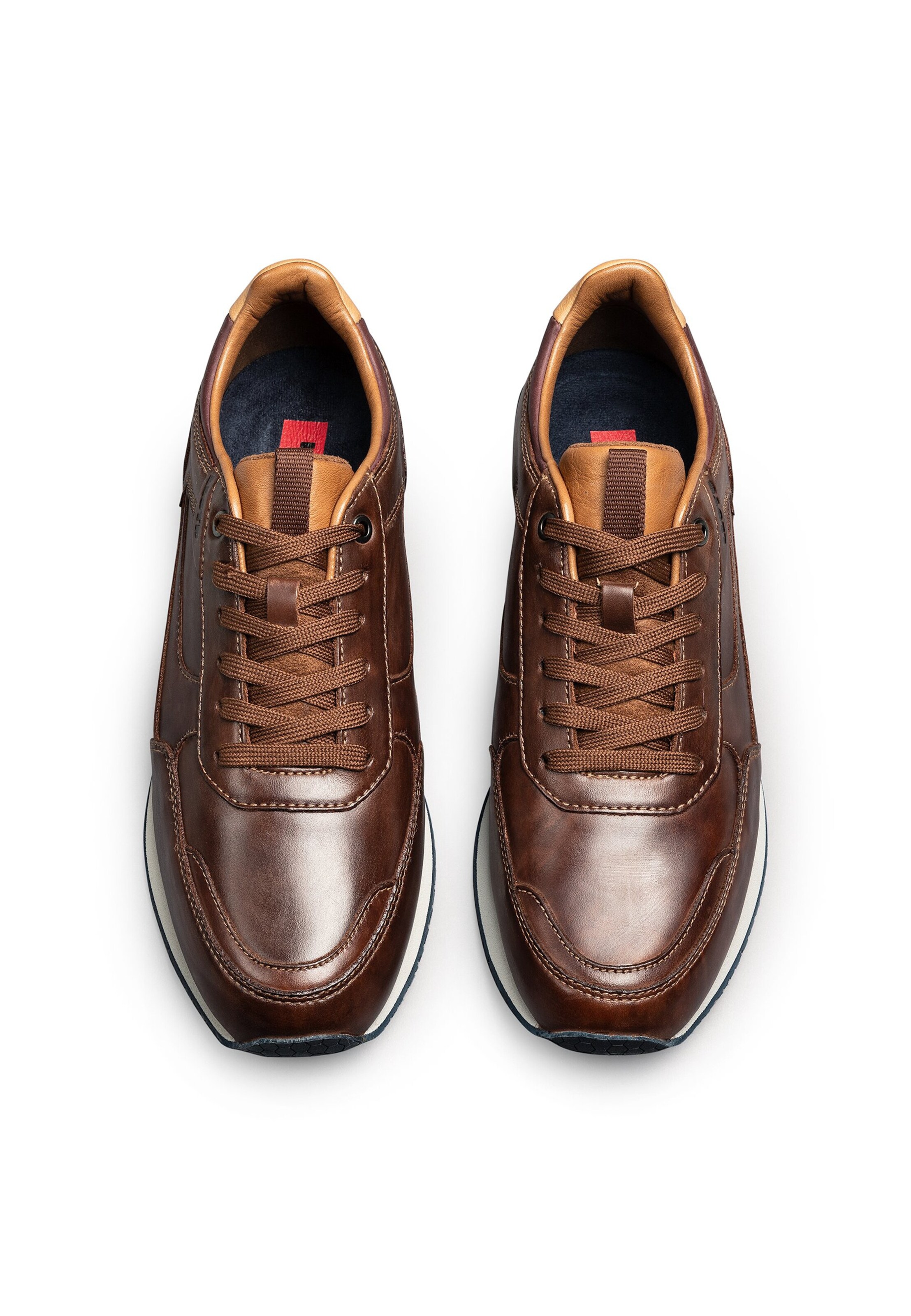 LLOYD Platform trainers 'Editta' in Brown