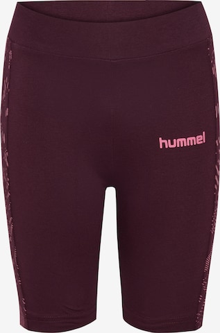 Hummel Slim fit Sports trousers in Purple: front
