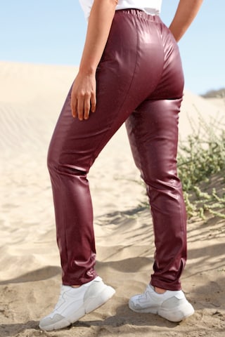 MIAMODA Regular Pants in Red