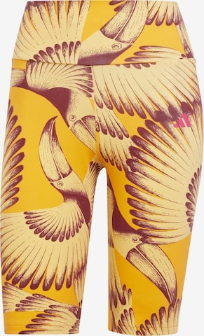 ADIDAS SPORTSWEAR - Pantalón deportivo 'Adidas x Farm' en amarillo: frente