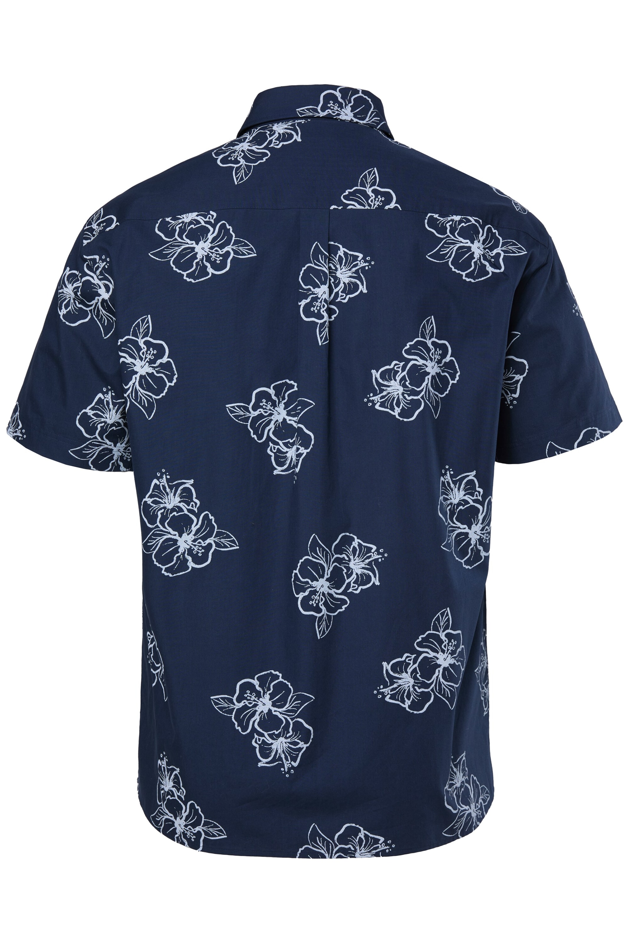 Men Plus Regular Fit Hemd in Blau