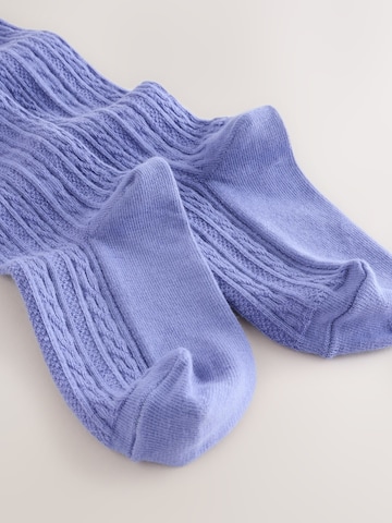 Next - Collants em roxo