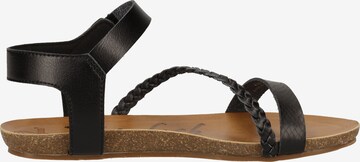 Sandalo con cinturino di Blowfish Malibu in nero