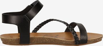 Blowfish Malibu Sandalen met riem in Zwart