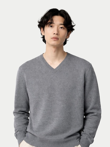 GOBI Cashmere Pullover 'Men's Essential Cashmere V-Neck Sweater'‌‌‌‌‌‌ in Grau