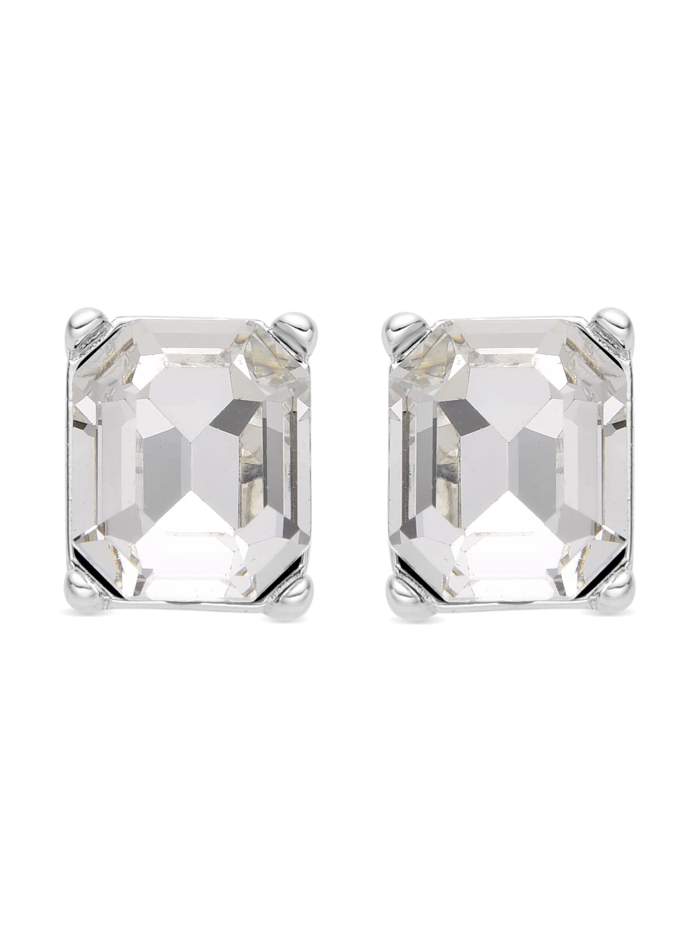 Luxenter Earrings 'Rindel' in Silver: front