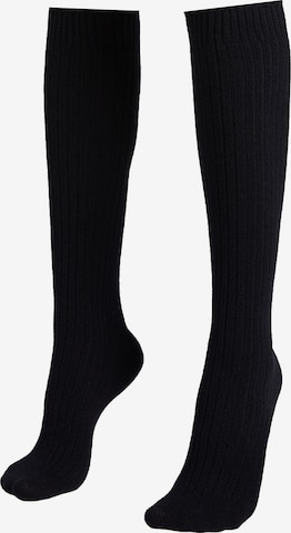 CALZEDONIA Knee High Socks in Blue: front