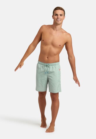 Shorts de bain 'ARENA PRO_FILE ' ARENA en vert