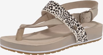 TIMBERLAND T-Bar Sandals in Beige: front