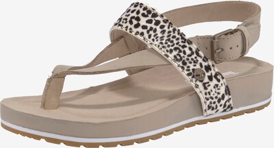 TIMBERLAND Zehentrenner in beige / sand / schwarz, Produktansicht