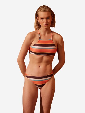 Penti Góra bikini 'Bikinioberteile' w kolorze mieszane kolory
