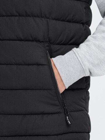 BLEND - Colete ' BHMelai ' em preto