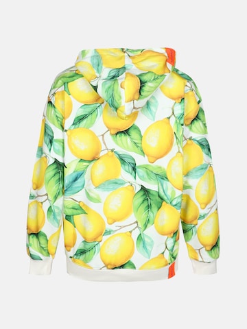 Sweat-shirt 'Barch' salzhaut en mélange de couleurs