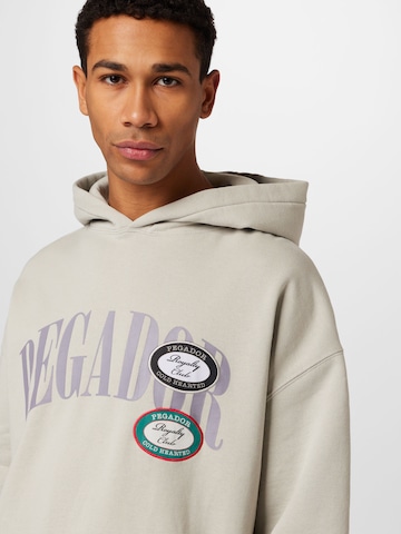 Pegador Sweatshirt in Grau