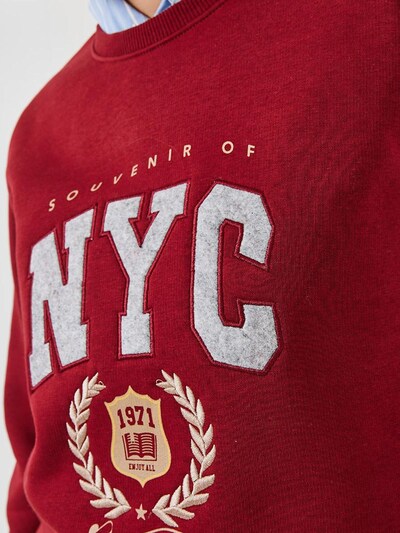 Bianco Lucci Sweatshirt in grau / greige / dunkelrot, Produktansicht