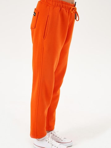 LOUIS LECLER Slimfit Broek 'Elise' in Rood