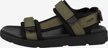 GEOX Hiking Sandals 'Xand 2S' in Green