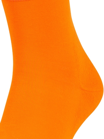 FALKE Socken 'Run'‌‌‌‌‌‌‌‌ in Orange