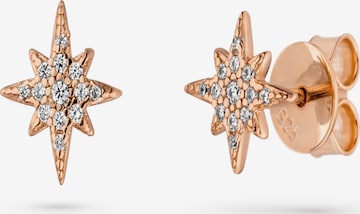 Fiocco Jewelry Earrings 'Luna' in Gold: front