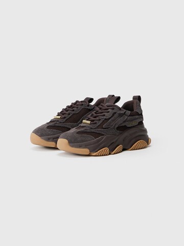 STEVE MADDEN Sneaker 'POSSESSION' in Braun