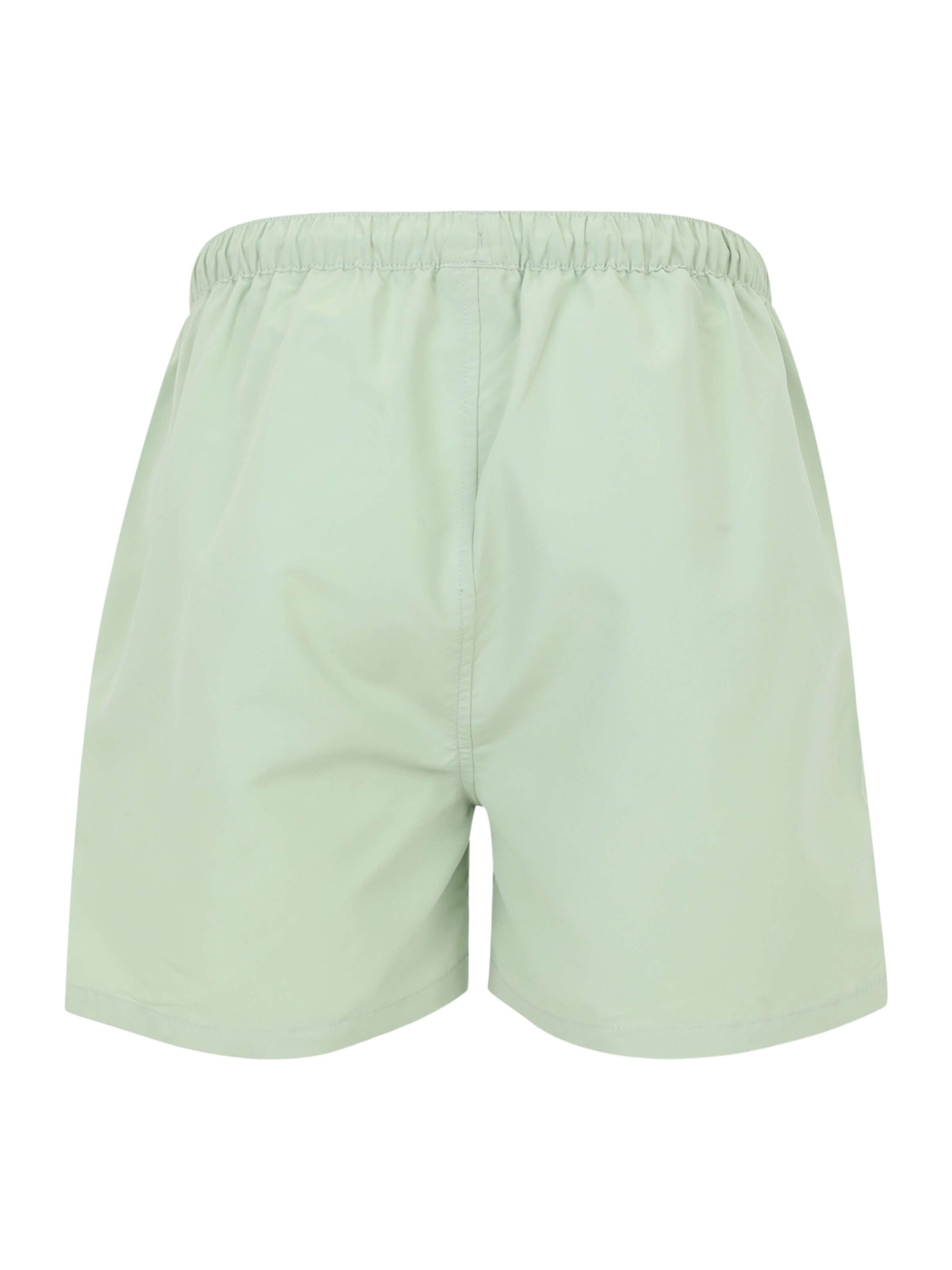 ELLESSE Uimashortsit 'Dem Slackers' värissä vihreä