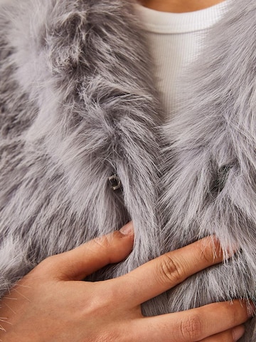 Veste mi-saison 'Kunstpelzmäntel' Bianco Lucci en gris