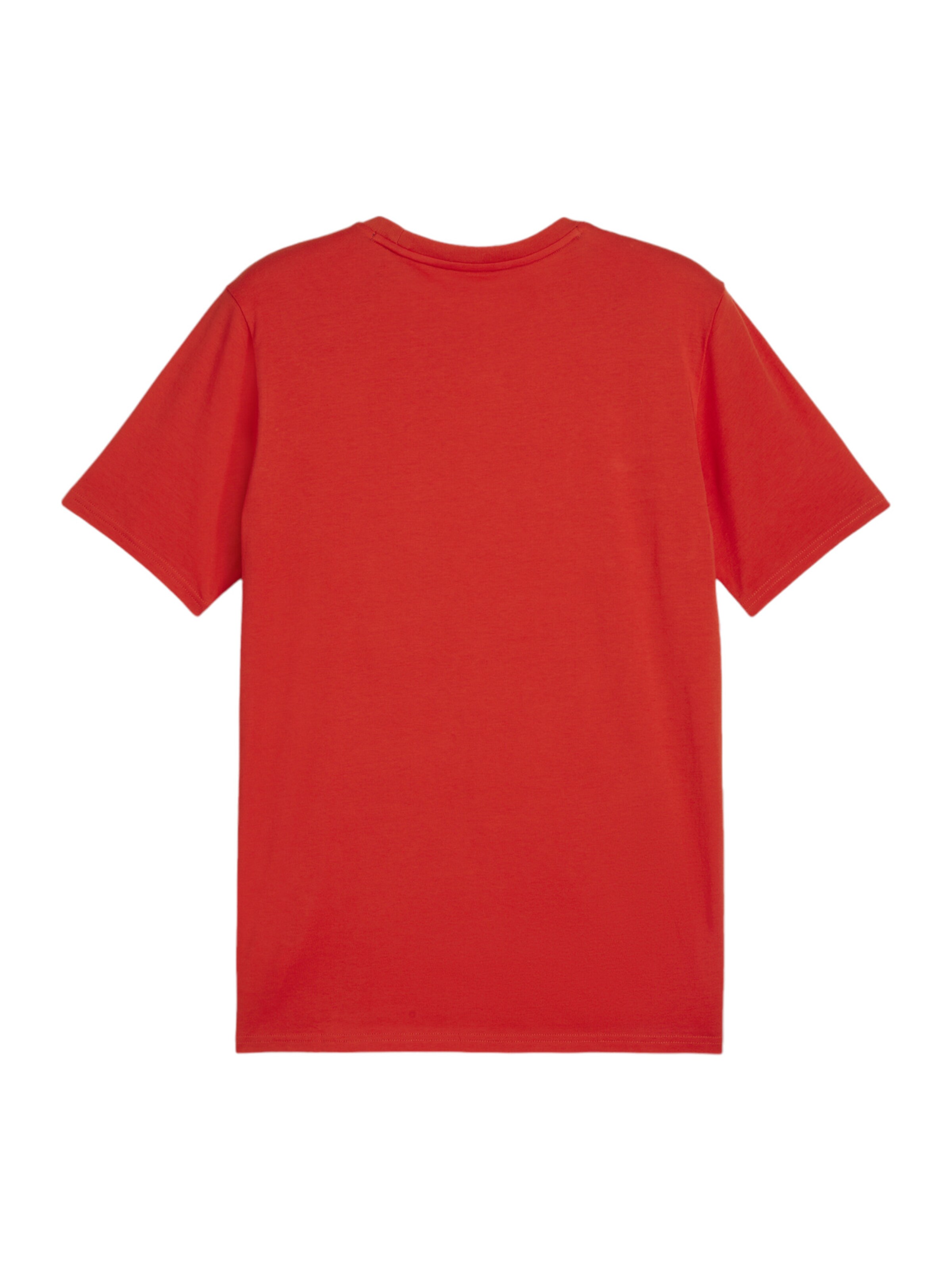 PUMA Regular Performance Shirt 'teamGoal' in Red