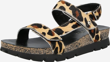 smėlio PANAMA JACK Sandalai 'Selma': priekis