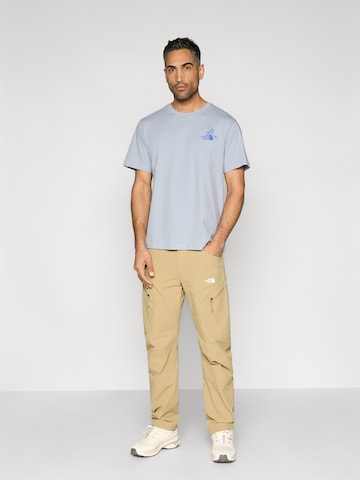 THE NORTH FACE - Camiseta 'MOUNTAIN CELEBRATION' en gris