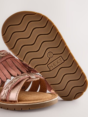 Next Sandal in Brown