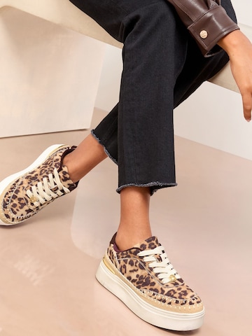 Baskets basses Lipsy en beige