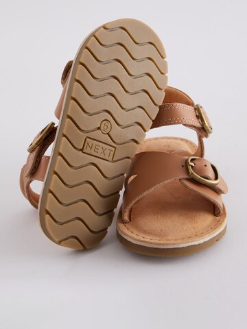 Next Sandale in Braun