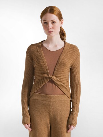 DEHA Sweater in Brown: front