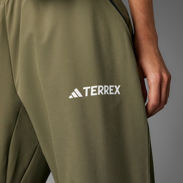 Regular Pantalon outdoor 'Lifeflex' ADIDAS TERREX en vert