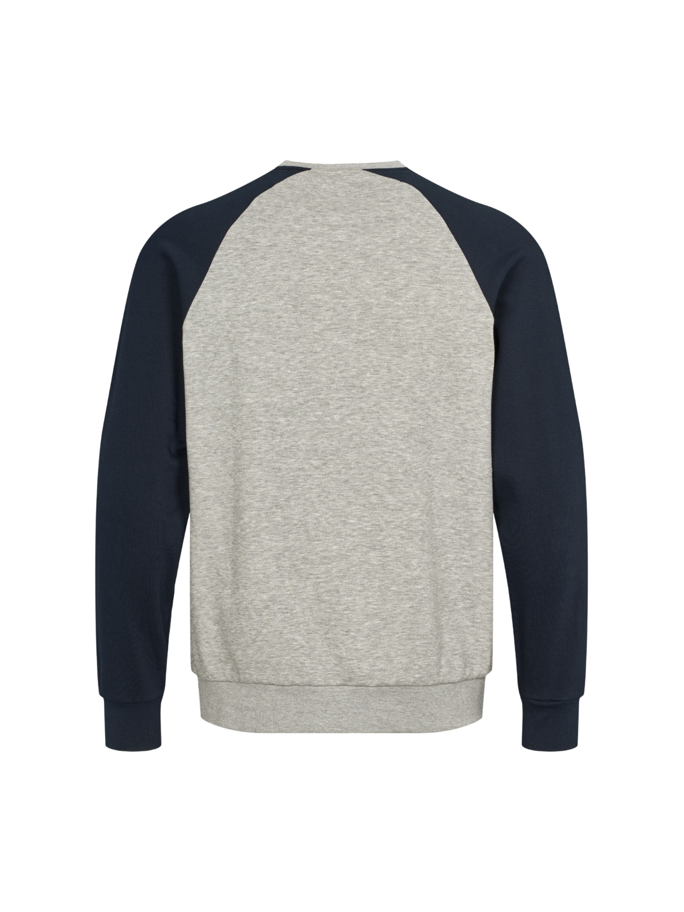 U.S. POLO ASSN. Pullover 'Teo' i grå